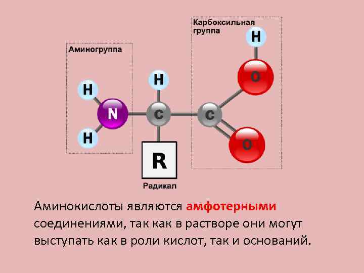 Аминокислоты являются амфотерными соединениями, так как в растворе они могут выступать как в роли