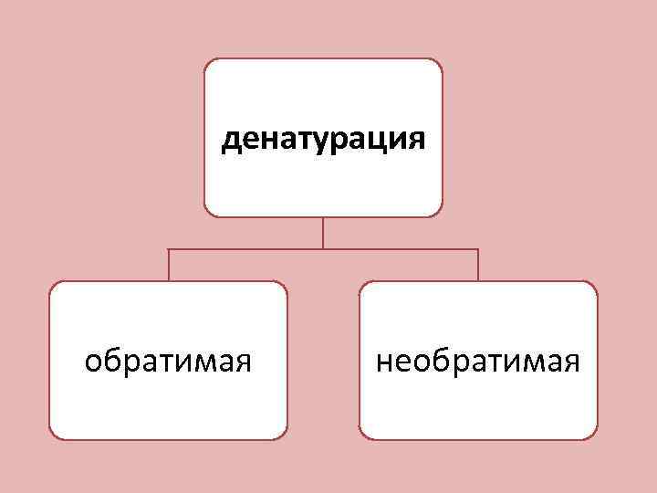 денатурация обратимая необратимая 