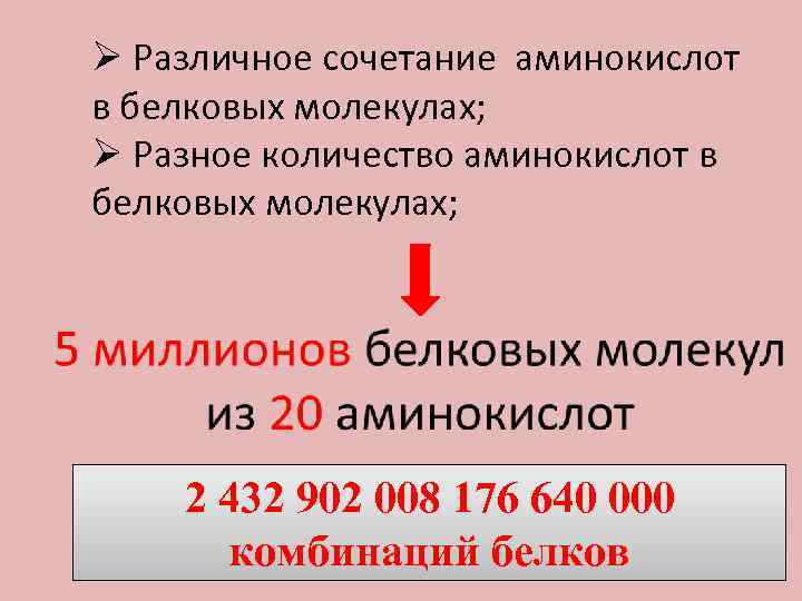 Ø Различное сочетание аминокислот в белковых молекулах; Ø Разное количество аминокислот в белковых молекулах;