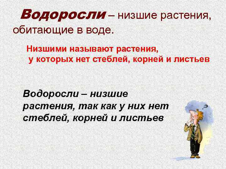 Водоросли – низшие растения, обитающие в воде. Низшими называют растения, у которых нет стеблей,