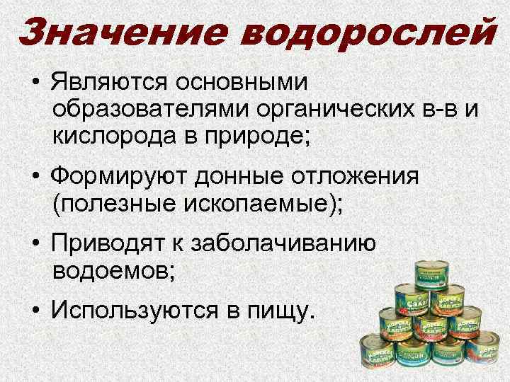 Значение водорослей • Являются основными образователями органических в-в и кислорода в природе; • Формируют