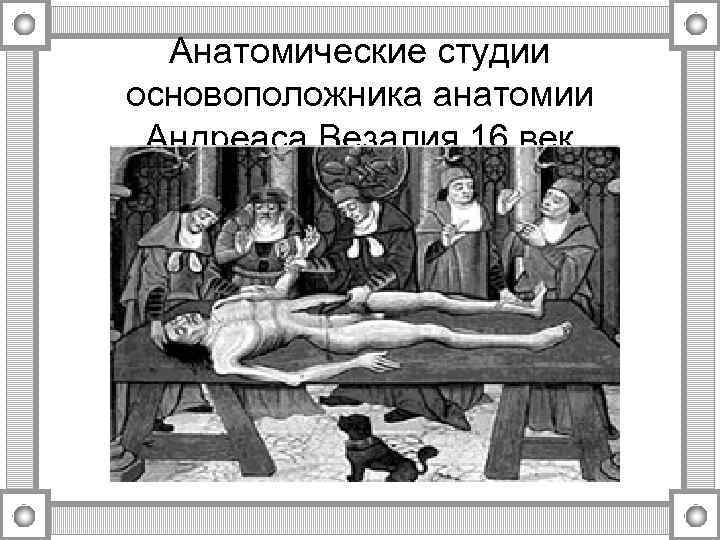 Анатомические студии основоположника анатомии Андреаса Везалия 16 век 