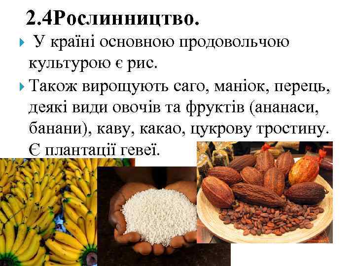 2. 4 Рослинництво. У країні основною продовольчою культурою є рис. Також вирощують саго, маніок,