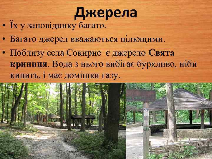Джерела • Їх у заповіднику багато. • Багато джерел вважаються цілющими. • Поблизу села