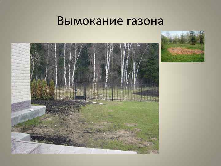 Вымокание газона 