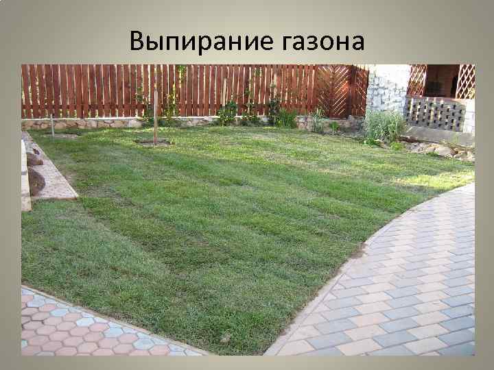 Выпирание газона 