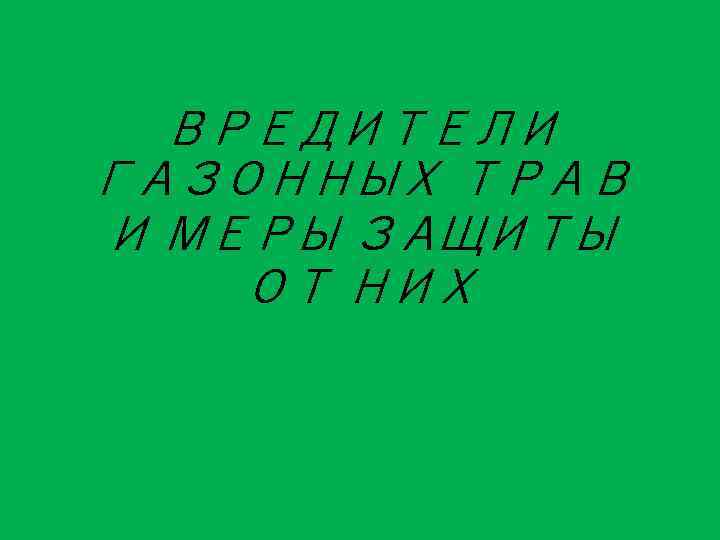 ВРЕДИТЕЛИ ГАЗОННЫХ ТРАВ И МЕРЫ ЗАЩИТЫ ОТ НИХ 