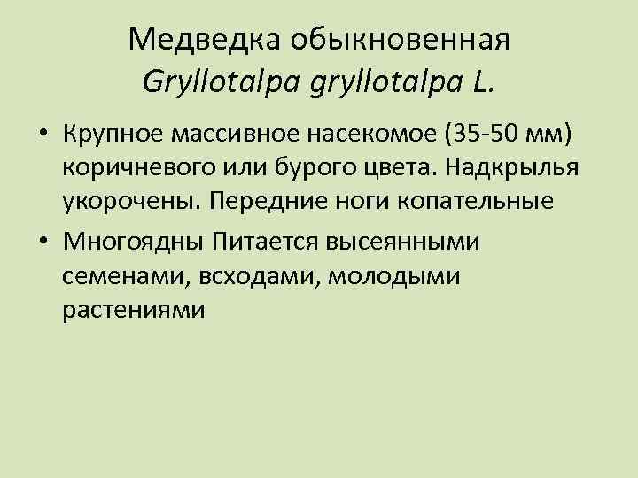 Медведка обыкновенная Gryllotalpa gryllotalpa L. • Крупное массивное насекомое (35 -50 мм) коричневого или
