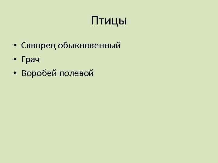 Птицы • Скворец обыкновенный • Грач • Воробей полевой 