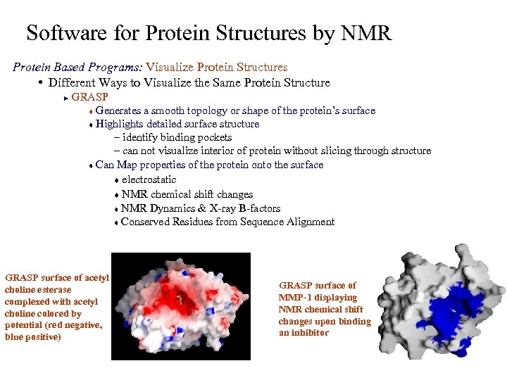 Software for Protein Structures by NMR Protein Based Programs: Visualize Protein Structures • Different