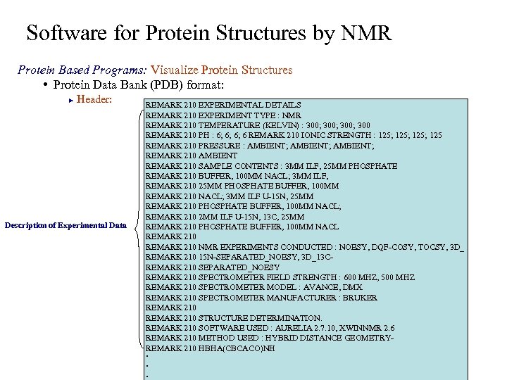 Software for Protein Structures by NMR Protein Based Programs: Visualize Protein Structures • Protein