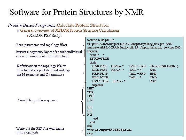 Software for Protein Structures by NMR Protein Based Programs: Calculate Protein Structures General overview
