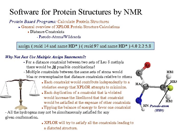 Software for Protein Structures by NMR Protein Based Programs: Calculate Protein Structures General overview