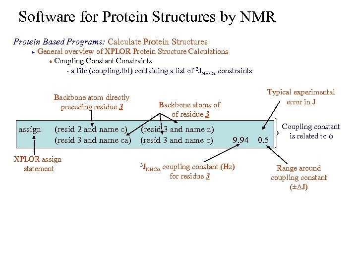 Software for Protein Structures by NMR Protein Based Programs: Calculate Protein Structures General overview