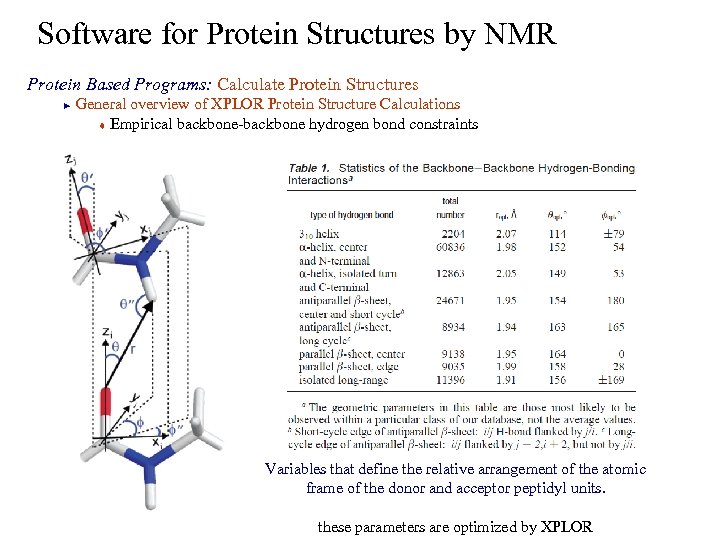 Software for Protein Structures by NMR Protein Based Programs: Calculate Protein Structures General overview