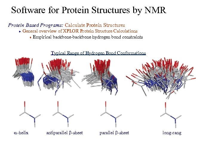 Software for Protein Structures by NMR Protein Based Programs: Calculate Protein Structures General overview