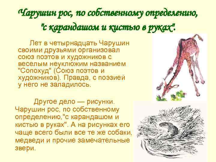 Чарушин рос, по собственному определению, "с карандашом и кистью в руках". Лет в четырнадцать