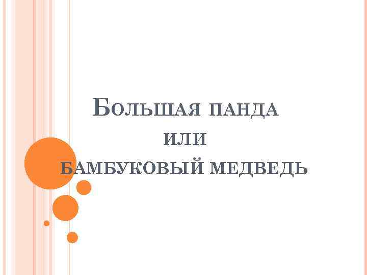 БОЛЬШАЯ ПАНДА ИЛИ БАМБУКОВЫЙ МЕДВЕДЬ 