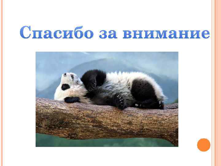 Спасибо за внимание 