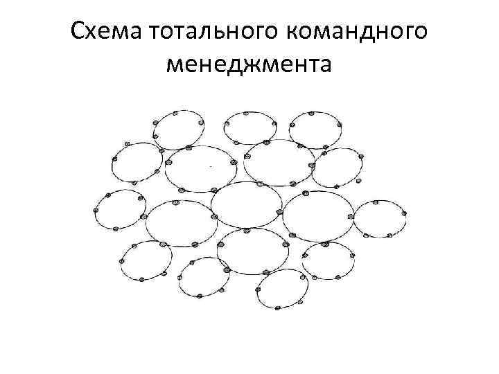 Схема тотального командного менеджмента 