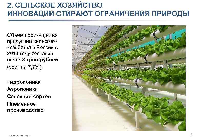 2. СЕЛЬСКОЕ ХОЗЯЙСТВО ИННОВАЦИИ СТИРАЮТ ОГРАНИЧЕНИЯ ПРИРОДЫ Объем производства продукции сельского хозяйства в России