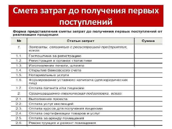 Смета затрат до получения первых поступлений 