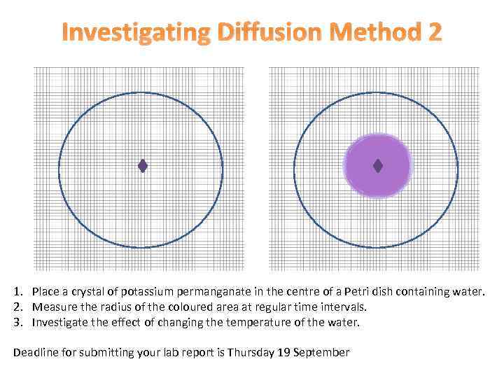 Investigating Diffusion Method 2 1. Place a crystal of potassium permanganate in the centre