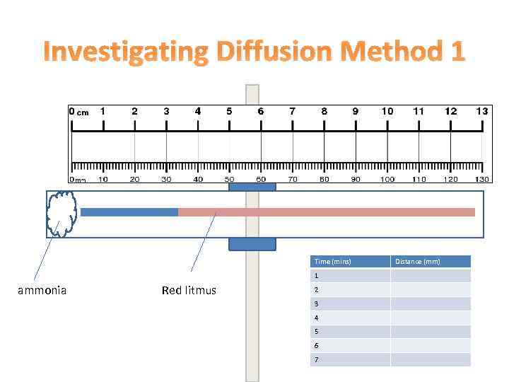 Investigating Diffusion Method 1 Time (mins) 1 ammonia Red litmus 2 3 4 5