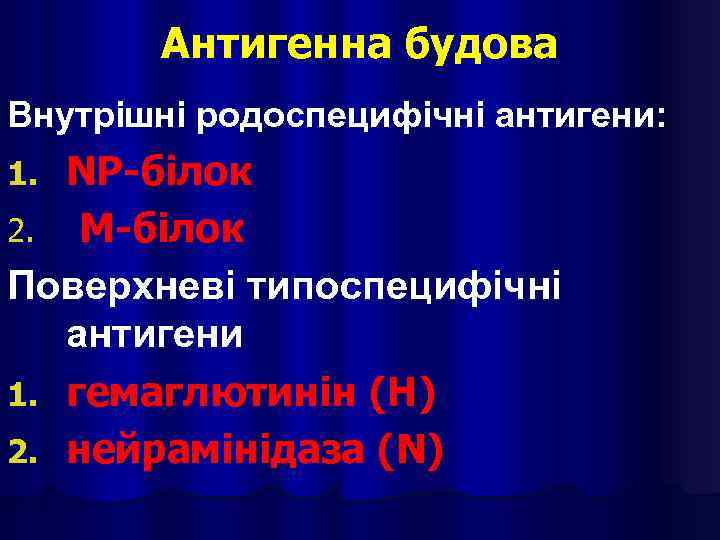 Антигенна будова Внутрішні родоспецифічні антигени: NP-білок 2. M-білок Поверхневі типоспецифічні антигени 1. гемаглютинін (H)