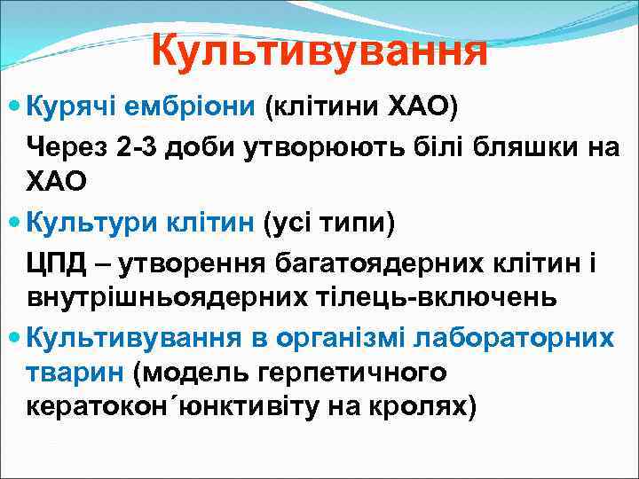 Культивування Курячі ембріони (клітини ХАО) Через 2 -3 доби утворюють білі бляшки на ХАО