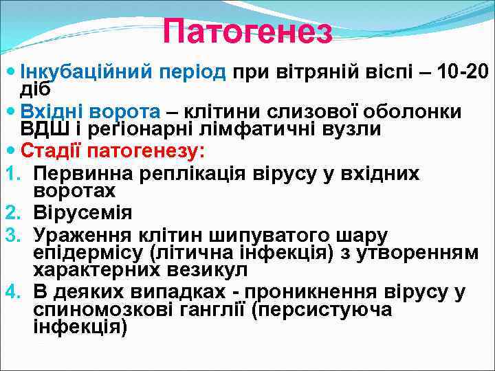 Патогенез Інкубаційний період при вітряній віспі – 10 -20 діб Вхідні ворота – клітини