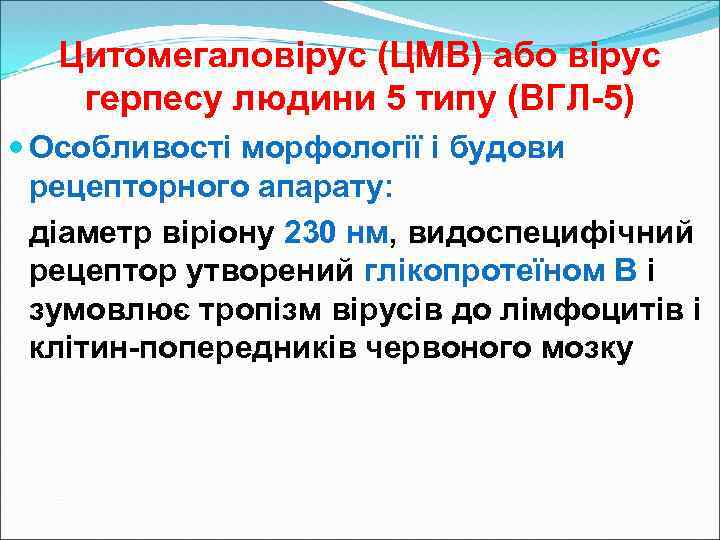 Цитомегаловірус (ЦМВ) або вірус герпесу людини 5 типу (ВГЛ-5) Особливості морфології і будови рецепторного