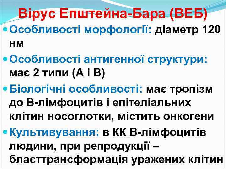 Вірус Епштейна-Бара (ВЕБ) Особливості морфології: діаметр 120 нм Особливості антигенної структури: має 2 типи