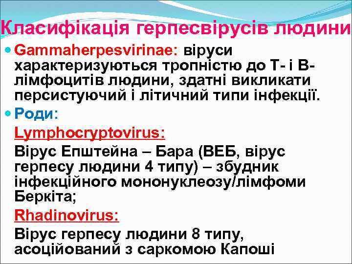 Класифікація герпесвірусів людини Gammaherpesvirinae: віруси характеризуються тропністю до Т- і Влімфоцитів людини, здатні викликати