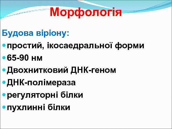 Морфологія Будова віріону: простий, ікосаедральної форми 65 -90 нм Двохнитковий ДНК-геном ДНК-полімераза регуляторні білки