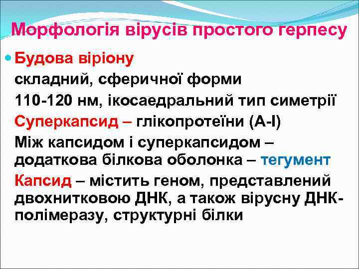 Морфологія вірусів простого герпесу Будова віріону складний, сферичної форми 110 -120 нм, ікосаедральний тип