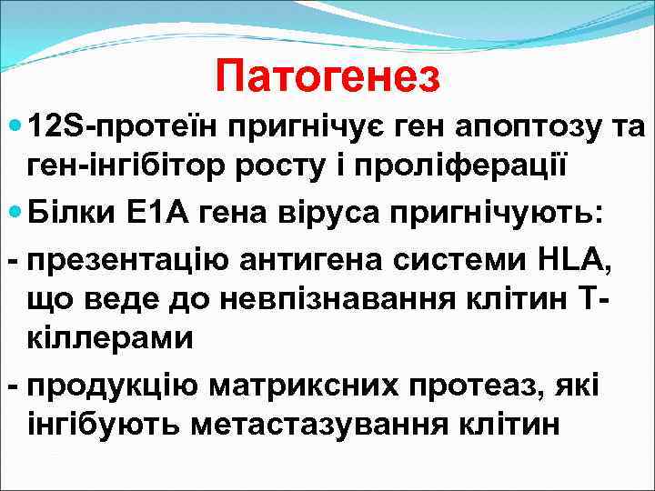 Патогенез 12 S-протеїн пригнічує ген апоптозу та ген-інгібітор росту і проліферації Білки E 1