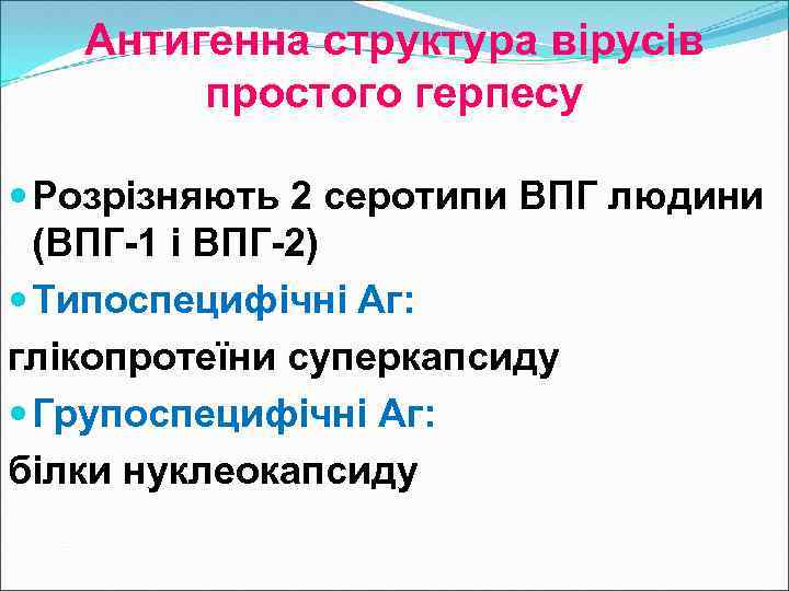 Антигенна структура вірусів простого герпесу Розрізняють 2 серотипи ВПГ людини (ВПГ-1 і ВПГ-2) Типоспецифічні