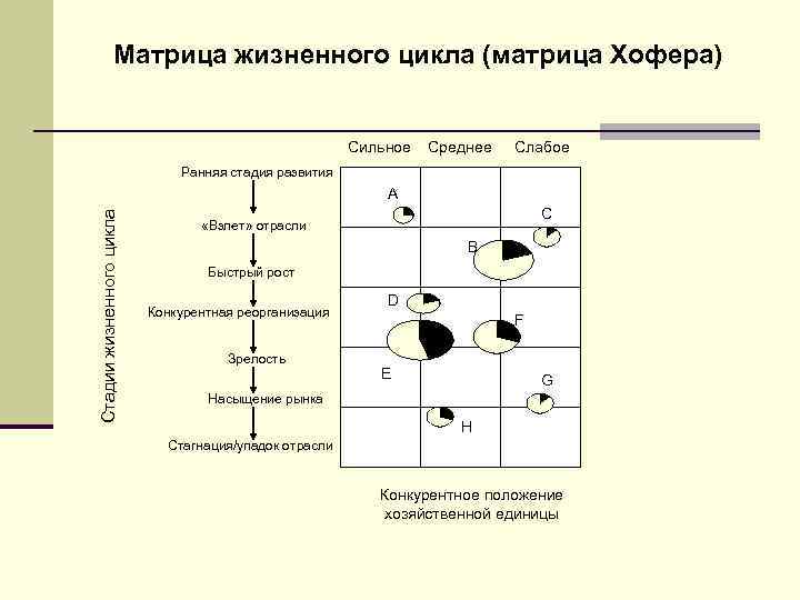 Матрица жизненного цикла (матрица Хофера) Сильное Среднее Слабое Ранняя стадия развития Стадии жизненного цикла