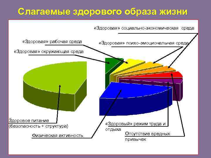 Слагаемые здорового образа жизни «Здоровая» социально-экономическая среда «Здоровая» рабочая среда • = «Здоровая» психо-эмоциональная