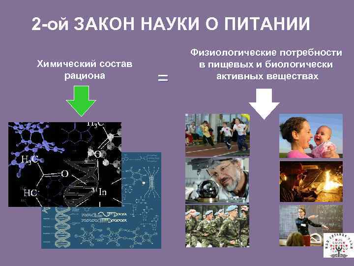 2 -ой ЗАКОН НАУКИ О ПИТАНИИ Химический состав рациона = Физиологические потребности в пищевых