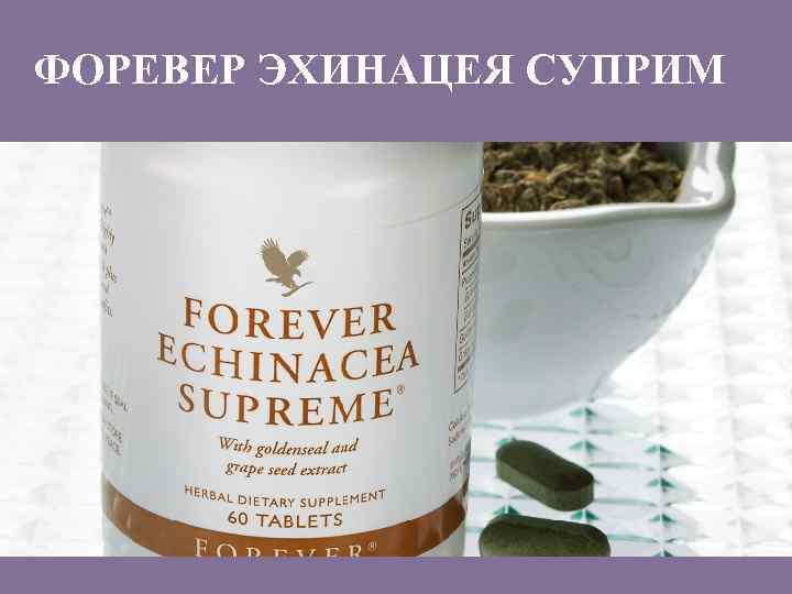 ФОРЕВЕР ЭХИНАЦЕЯ СУПРИМ 