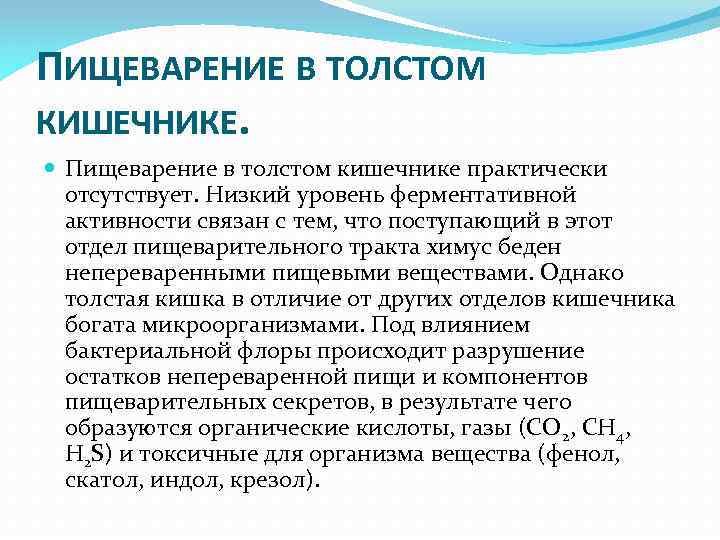 ПИЩЕВАРЕНИЕ В ТОЛСТОМ КИШЕЧНИКЕ. Пищеварение в толстом кишечнике практически отсутствует. Низкий уровень ферментативной активности