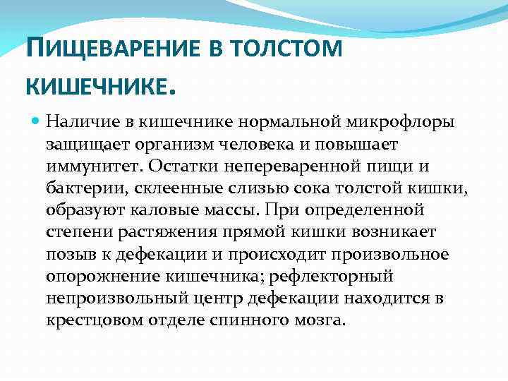 ПИЩЕВАРЕНИЕ В ТОЛСТОМ КИШЕЧНИКЕ. Наличие в кишечнике нормальной микрофлоры защищает организм человека и повышает