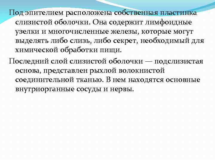 Под эпителием расположена собственная пластинка слизистой оболочки. Она содержит лимфоидные узелки и многочисленные железы,