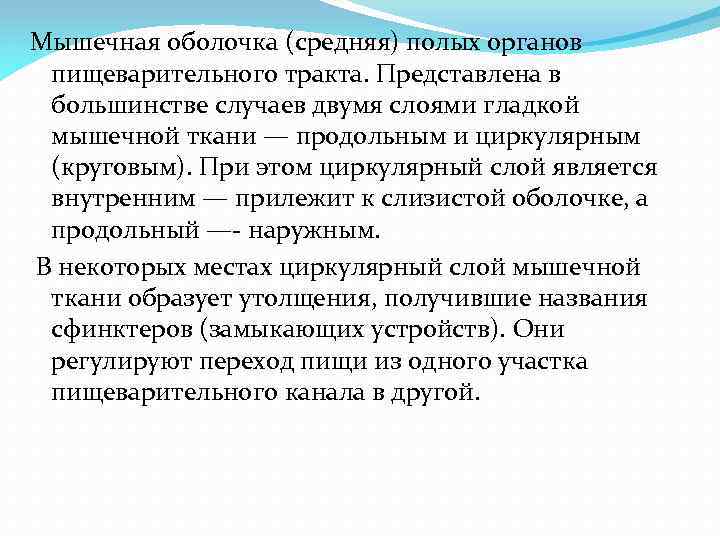 Мышечная оболочка (средняя) полых органов пищеварительного тракта. Представлена в большинстве случаев двумя слоями гладкой