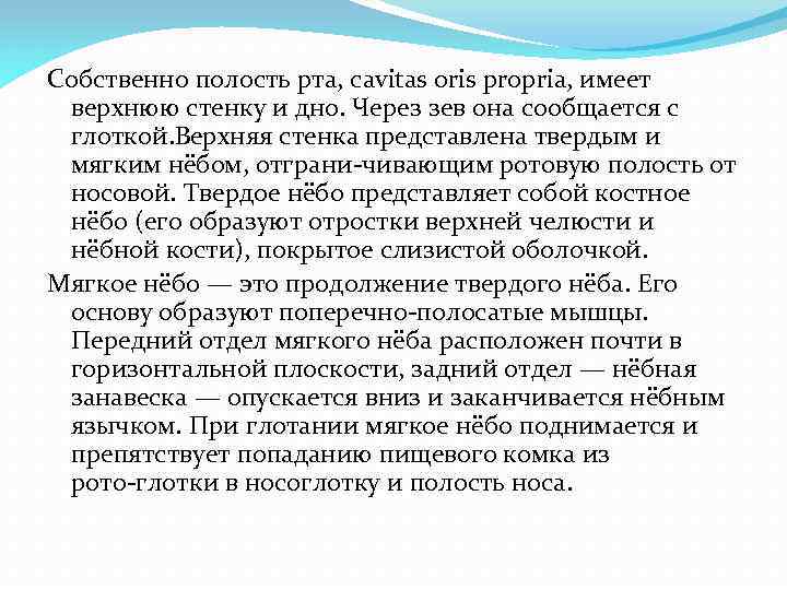 Собственно полость рта, cavitas oris propria, имеет верхнюю стенку и дно. Через зев она