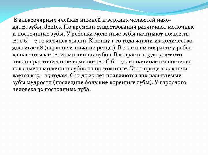 В альвеолярных ячейках нижней и верхних челюстей нахо дятся зубы, dentes. По времени существования