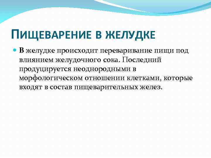 Переваривание в желудке. Процессы происходящие в желудке. Какие процессы происходят в желудке. Пищеварение это совокупность процессов.