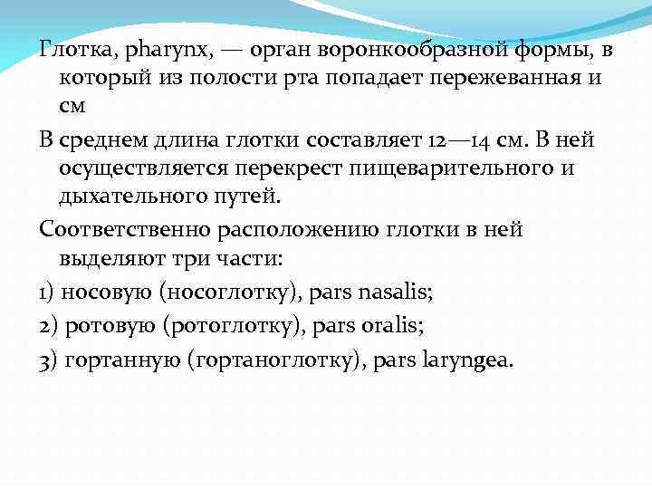 Глотка, pharynx, — орган воронкообразной формы, в который из полости рта попадает пережеванная и
